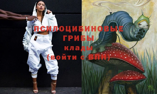 прущая мука Михайлов